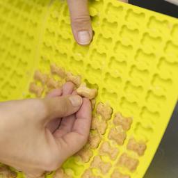 Trixie Lime Silikone Bagemåtte Til Hjemmelavede Godbidder Som Kødben 